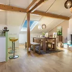 Luxurioeses Penthouse-appartement Apartment Hoechst